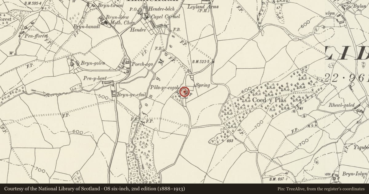 Ordnance Survey six-inch map, 2nd edition (1888–1913) covering the location of Plas-yr-esgob (The Bishop's Manor House), Llanelidan, Denbighshire, with a pin at the register's coordinates