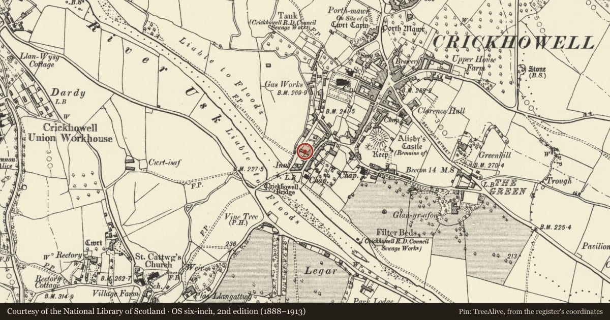 Ordnance Survey six-inch map, 2nd edition (1888–1913) covering the location of Salmon Flat, Crickhowell, Powys, with a pin at the register's coordinates