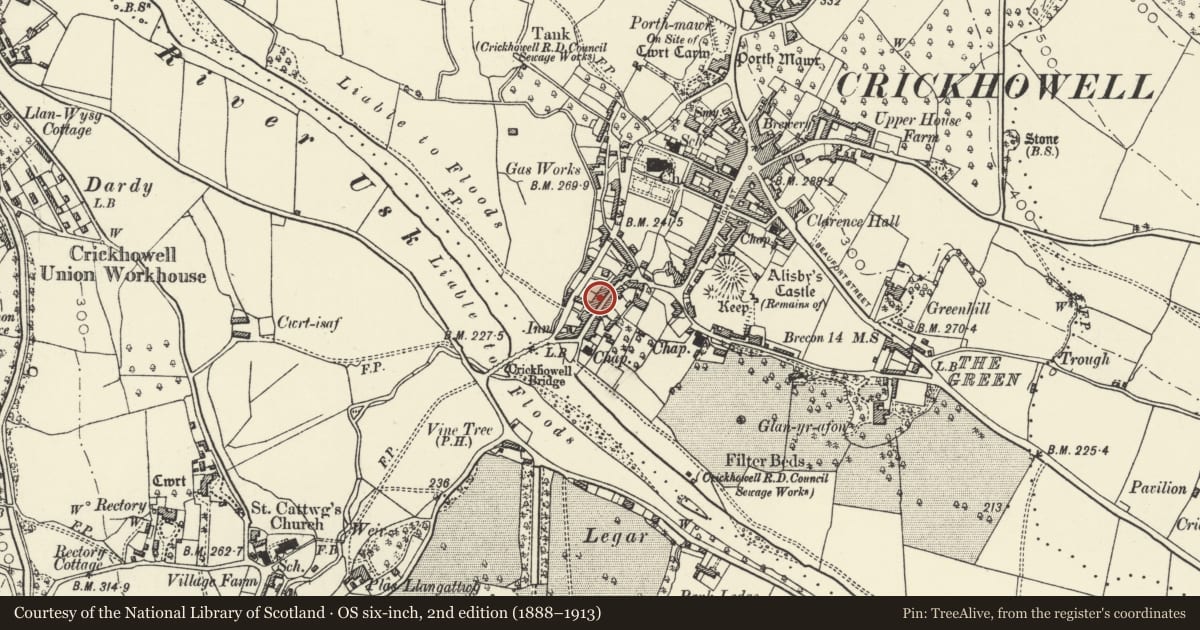 Ordnance Survey six-inch map, 2nd edition (1888–1913) covering the location of Talbot Place, Crickhowell, Powys, with a pin at the register's coordinates