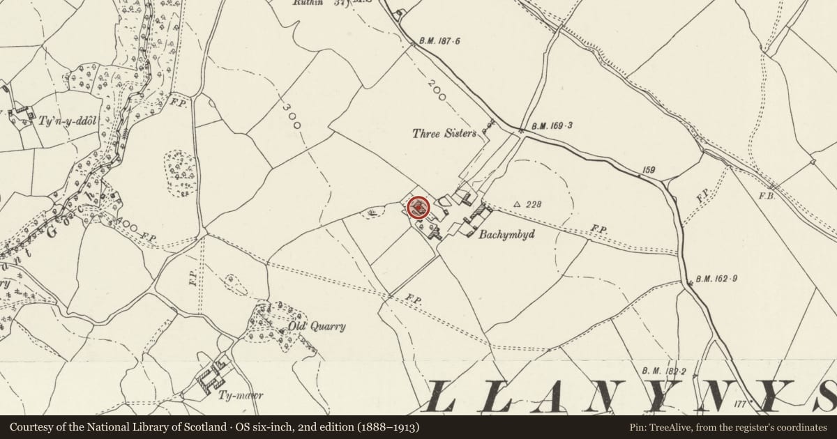Ordnance Survey six-inch map, 2nd edition (1888–1913) covering the location of Bachymbyd Fawr, Llanynys, Denbighshire, with a pin at the register's coordinates