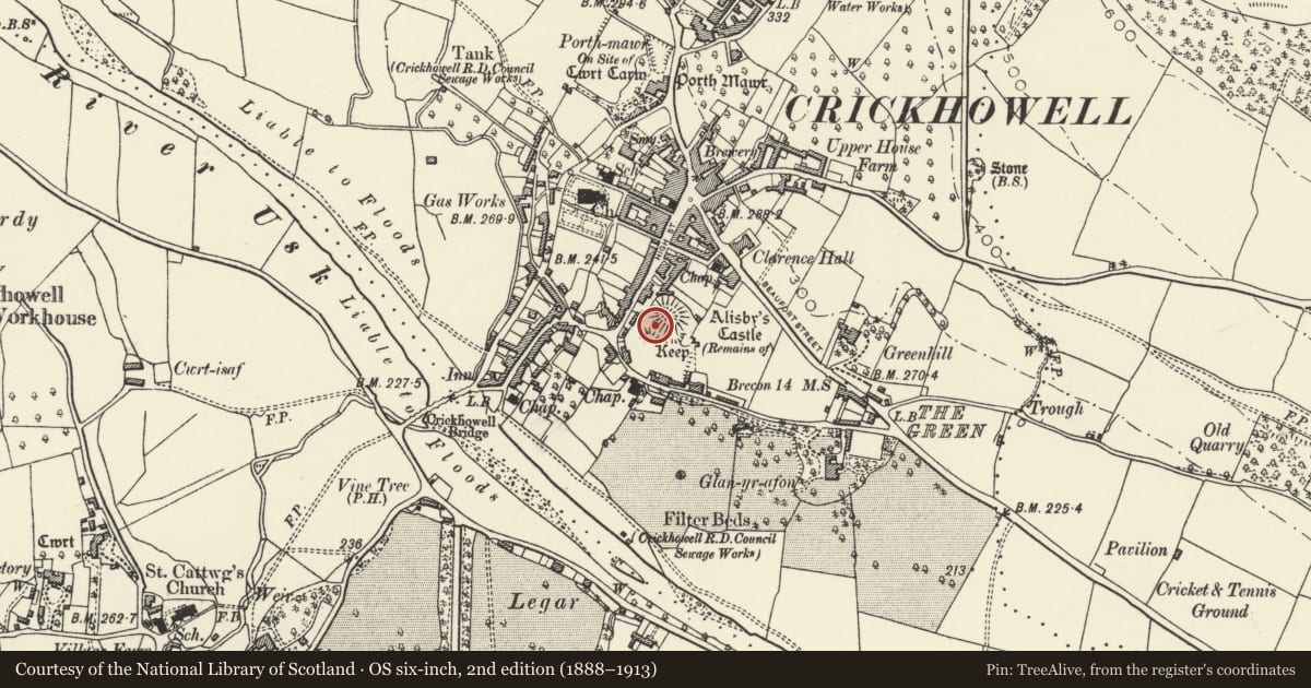 Ordnance Survey six-inch map, 2nd edition (1888–1913) covering the location of Crickhowell Castle (remains of), Powys, with a pin at the register's coordinates