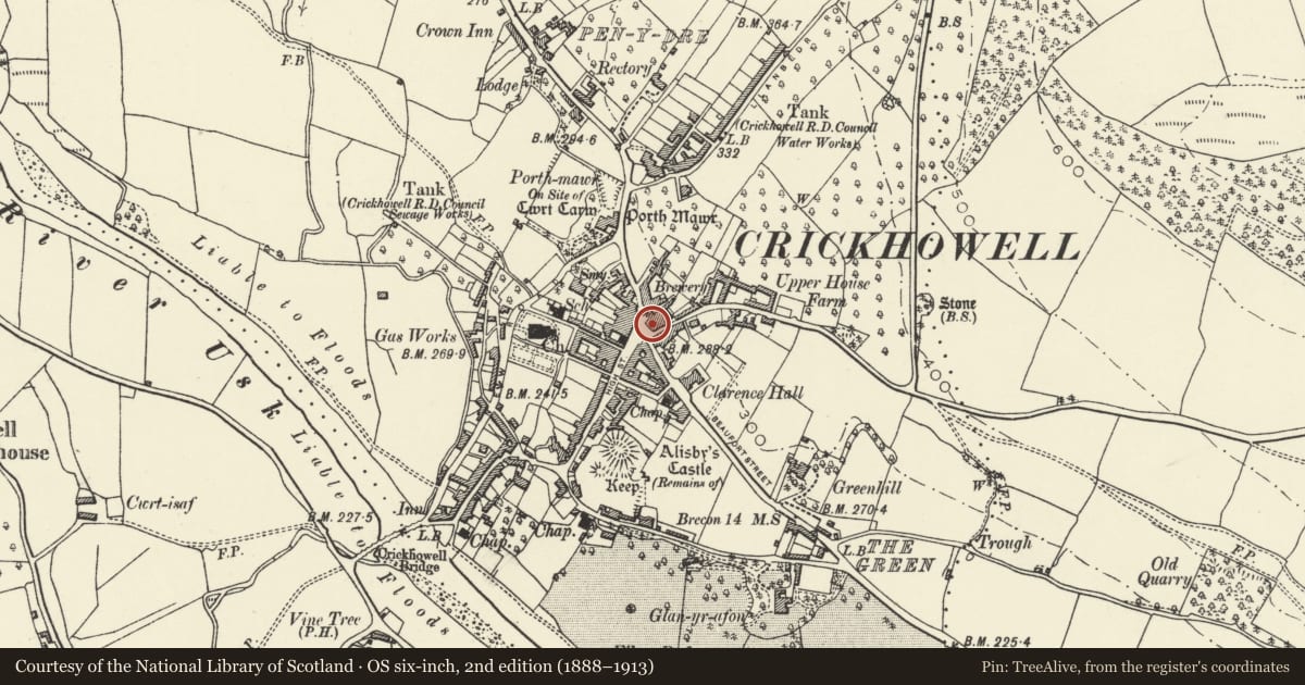 Ordnance Survey six-inch map, 2nd edition (1888–1913) covering the location of Crickhowell Adventure, Powys, with a pin at the register's coordinates