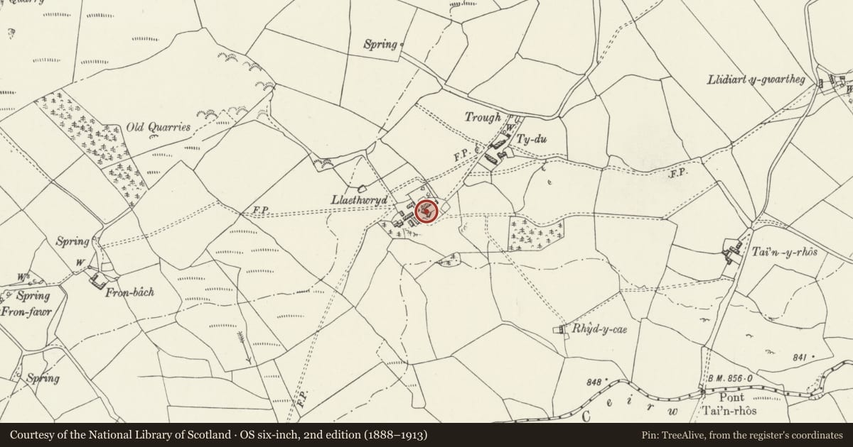 Ordnance Survey six-inch map, 2nd edition (1888–1913) covering the location of Llaethwryd, Cerrigydrudion, Conwy, with a pin at the register's coordinates