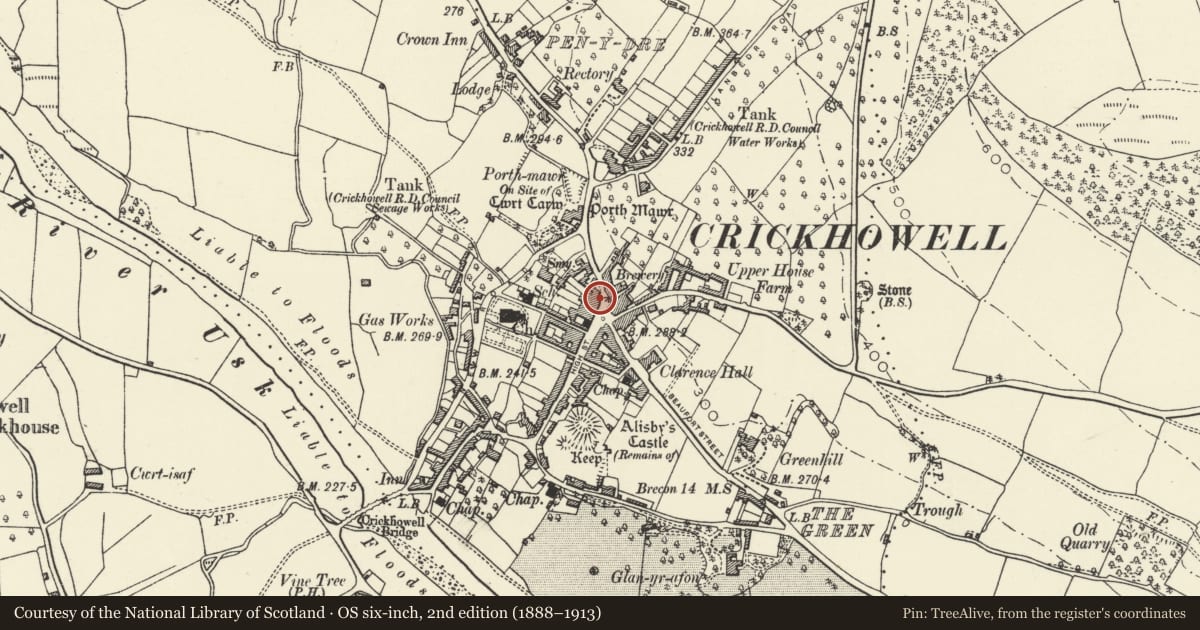Ordnance Survey six-inch map, 2nd edition (1888–1913) covering the location of H.J. & D.Webb & Sons, Crickhowell, Powys, with a pin at the register's coordinates