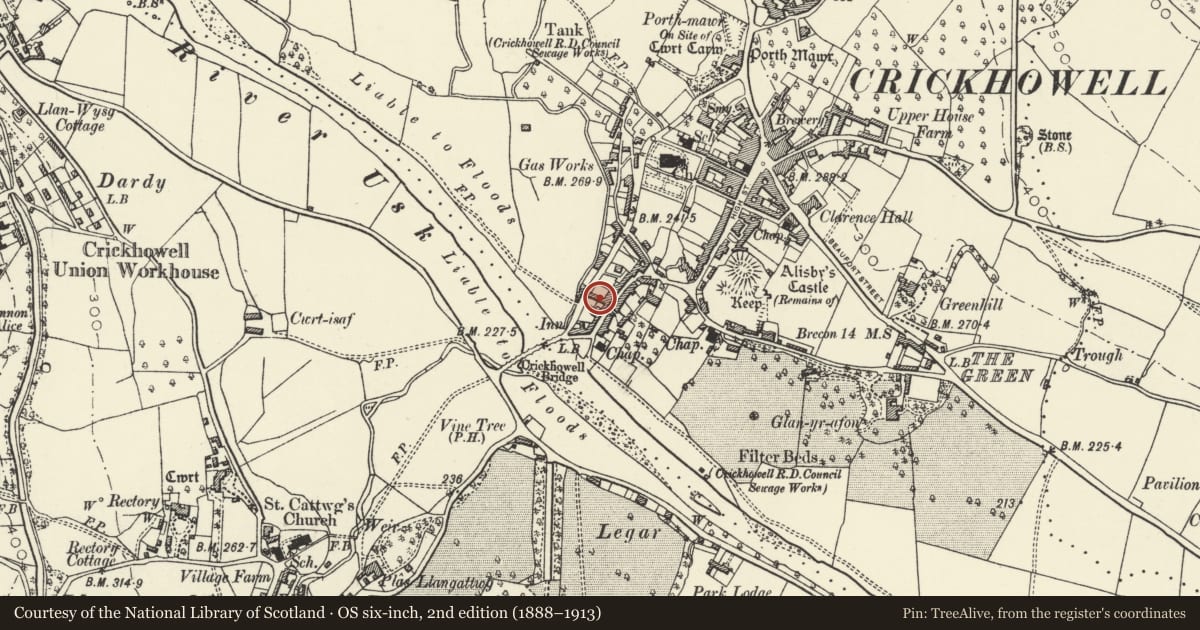 Ordnance Survey six-inch map, 2nd edition (1888–1913) covering the location of Salmons House, Crickhowell, Powys, with a pin at the register's coordinates