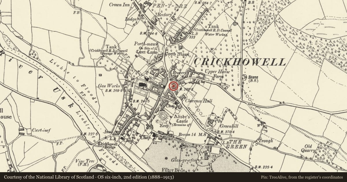 Ordnance Survey six-inch map, 2nd edition (1888–1913) covering the location of Jehu's, Crickhowell, Powys, with a pin at the register's coordinates