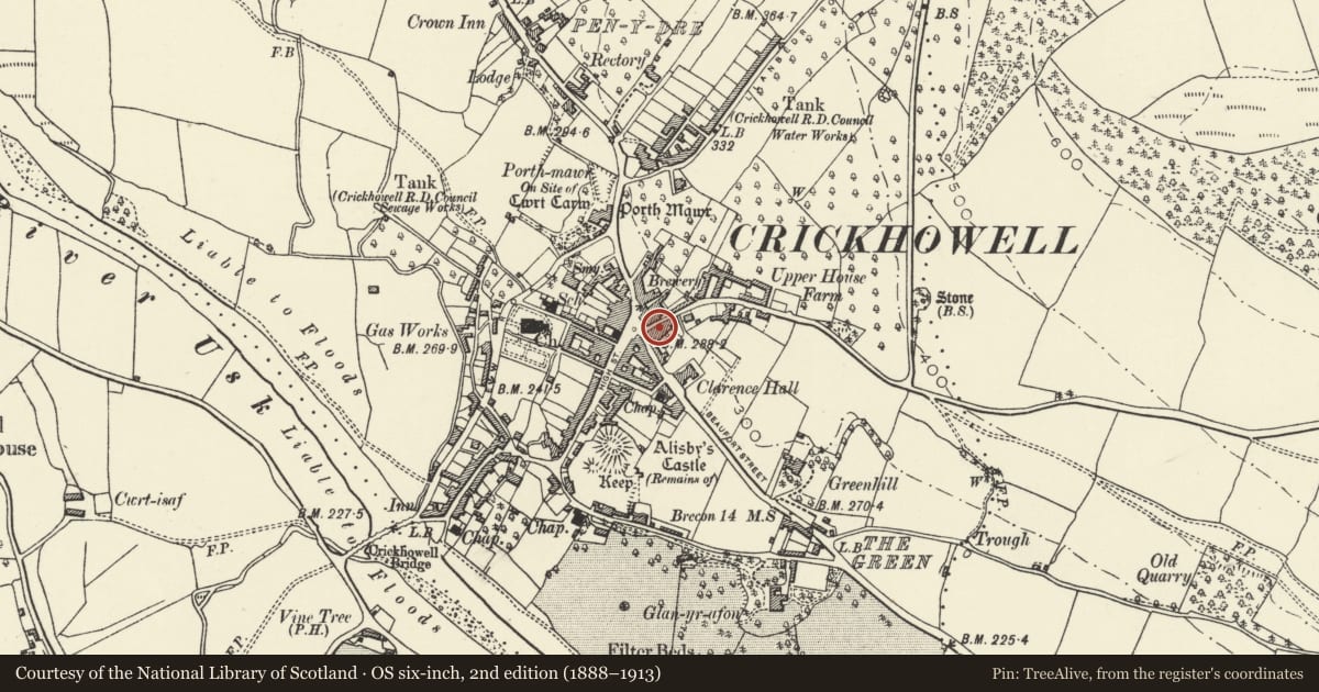 Ordnance Survey six-inch map, 2nd edition (1888–1913) covering the location of Including William Evans & Co, Crickhowell, Powys, with a pin at the register's coordinates