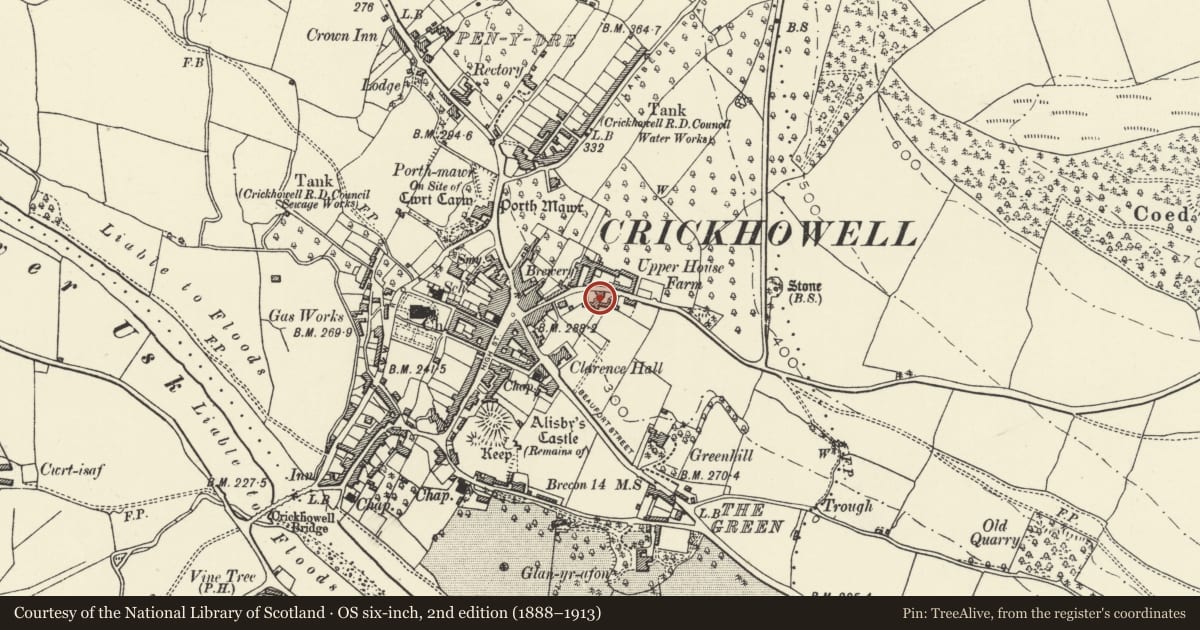 Ordnance Survey six-inch map, 2nd edition (1888–1913) covering the location of Webb's Yard Warehouse, Crickhowell, Powys, with a pin at the register's coordinates