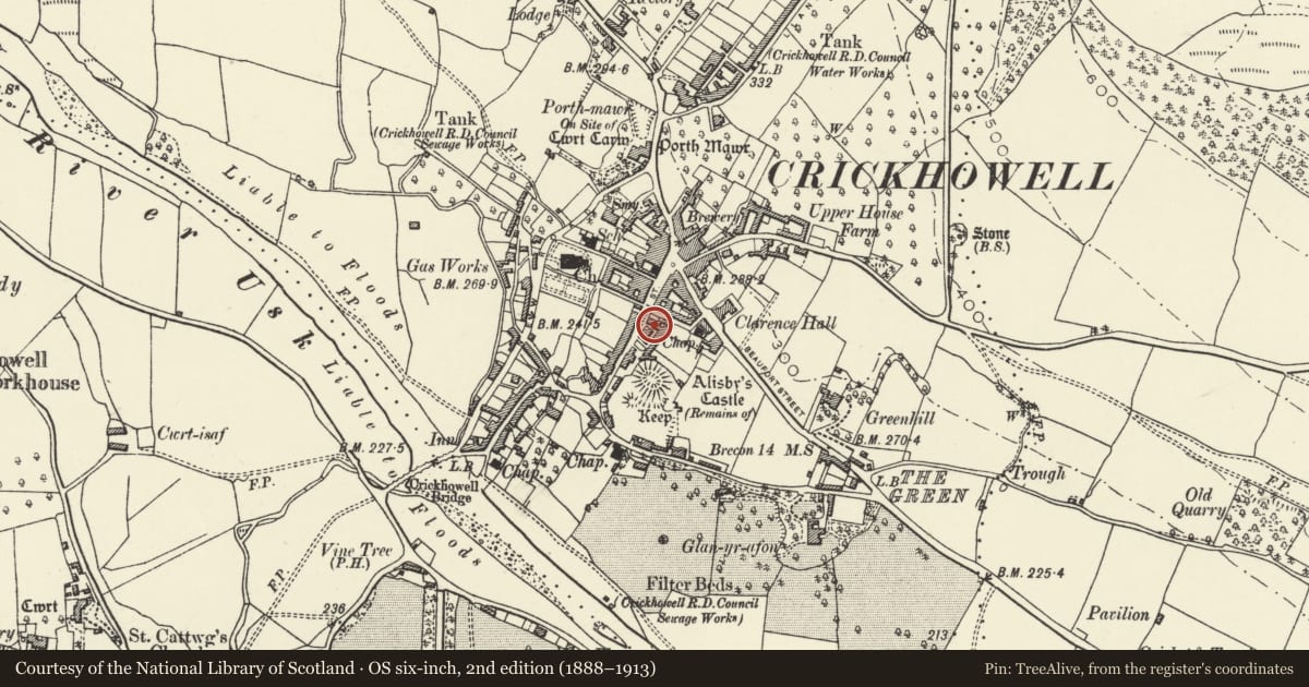 Ordnance Survey six-inch map, 2nd edition (1888–1913) covering the location of Ivy Towers, Crickhowell, Powys, with a pin at the register's coordinates