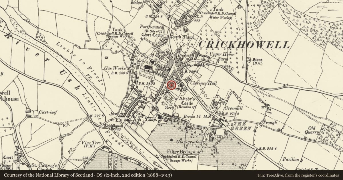 Ordnance Survey six-inch map, 2nd edition (1888–1913) covering the location of L-Plan Service Range to Ivy Towers, Crickhowell, Powys, with a pin at the register's coordinates