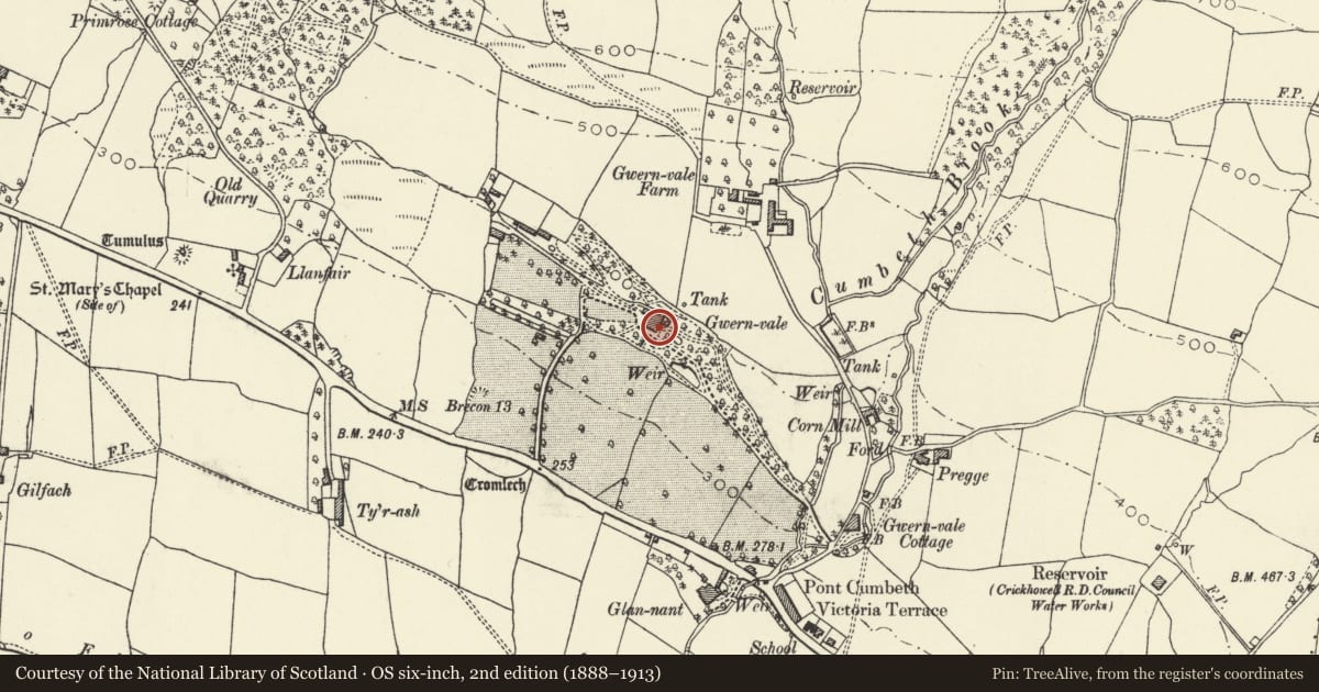 Ordnance Survey six-inch map, 2nd edition (1888–1913) covering the location of Gwernvale Manor Hotel, Crickhowell, Powys, with a pin at the register's coordinates