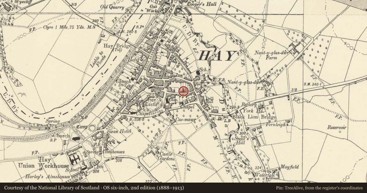 Ordnance Survey six-inch map, 2nd edition (1888–1913) covering the location of Wellington House, Hay, Powys, with a pin at the register's coordinates