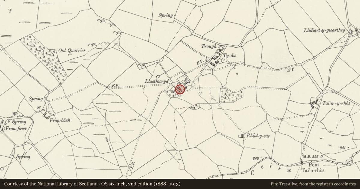 Ordnance Survey six-inch map, 2nd edition (1888–1913) covering the location of Cartshed and Stabling SW of Llaethwryd, Cerrigydrudion, Conwy, with a pin at the register's coordinates