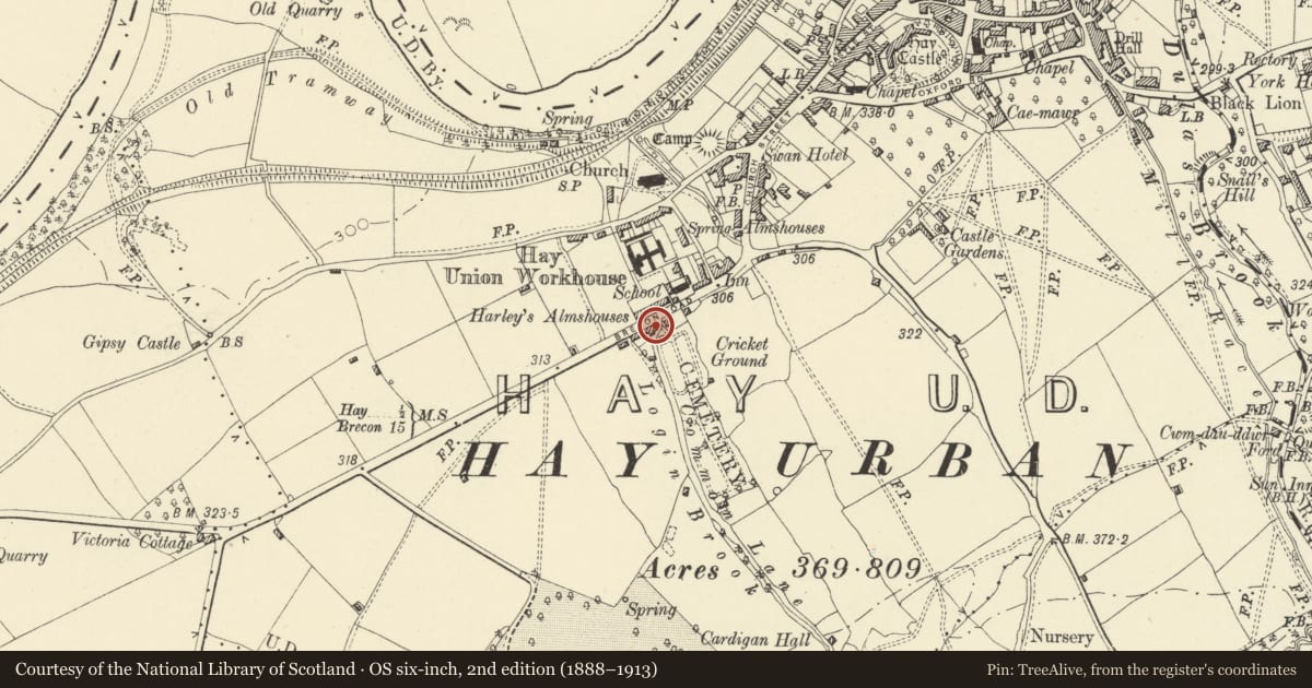 Ordnance Survey six-inch map, 2nd edition (1888–1913) covering the location of Golden Oak House, Hay, Powys, with a pin at the register's coordinates