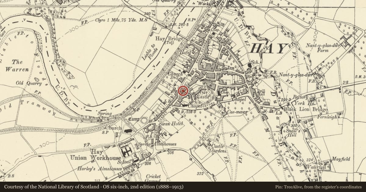 Ordnance Survey six-inch map, 2nd edition (1888–1913) covering the location of Steve Davies Domestic Appliances, Hay, Powys, with a pin at the register's coordinates