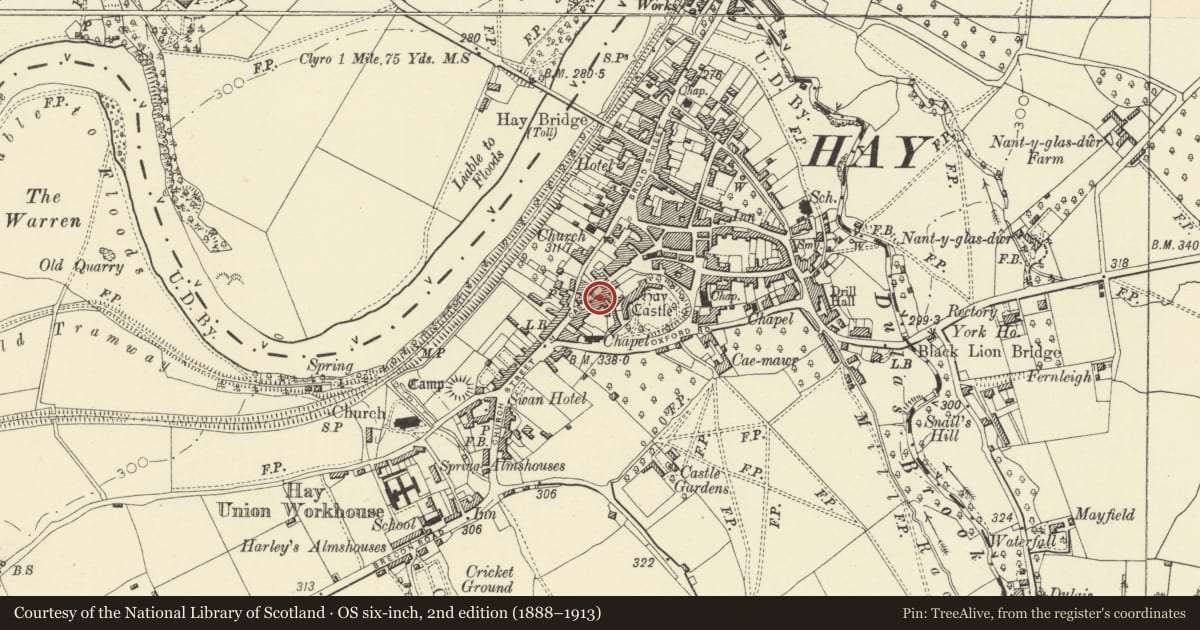 Ordnance Survey six-inch map, 2nd edition (1888–1913) covering the location of Fine Fare, Hay, Powys, with a pin at the register's coordinates