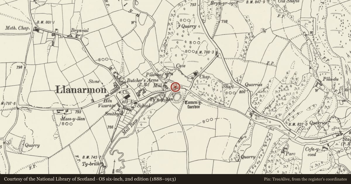 Ordnance Survey six-inch map, 2nd edition (1888–1913) covering the location of Pont Llanarmon, Llanarmon-yn-Ial, Denbighshire, with a pin at the register's coordinates