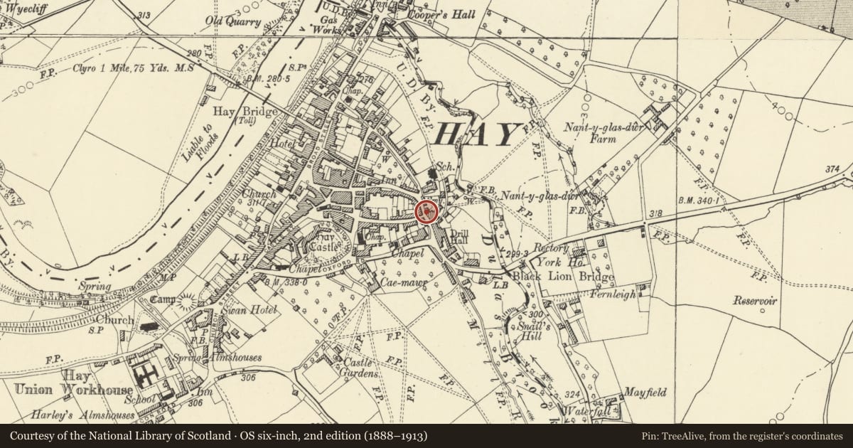 Ordnance Survey six-inch map, 2nd edition (1888–1913) covering the location of The Black Lion Antiques Shop, Hay, Powys, with a pin at the register's coordinates
