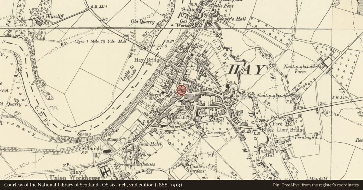 Ordnance Survey six-inch map, 2nd edition (1888–1913) covering the location of 46 Lion Street, Hay, Powys, with a pin at the register's coordinates
