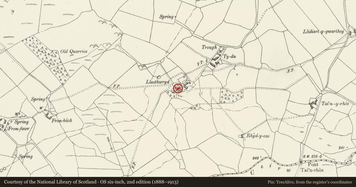 Ordnance Survey six-inch map, 2nd edition (1888–1913) covering the location of Barn N of the cartshed at Llaethwryd, Cerrigydrudion, Conwy, with a pin at the register's coordinates