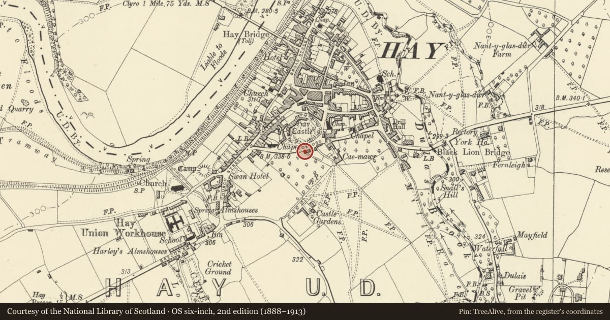Ordnance Survey six-inch map, 2nd edition (1888–1913) covering the location of Trergelli, Hay, Powys, with a pin at the register's coordinates