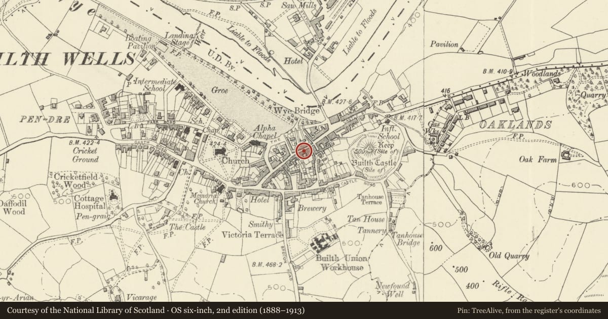 Ordnance Survey six-inch map, 2nd edition (1888–1913) covering the location of T.J. Morgan, Builth, Powys, with a pin at the register's coordinates