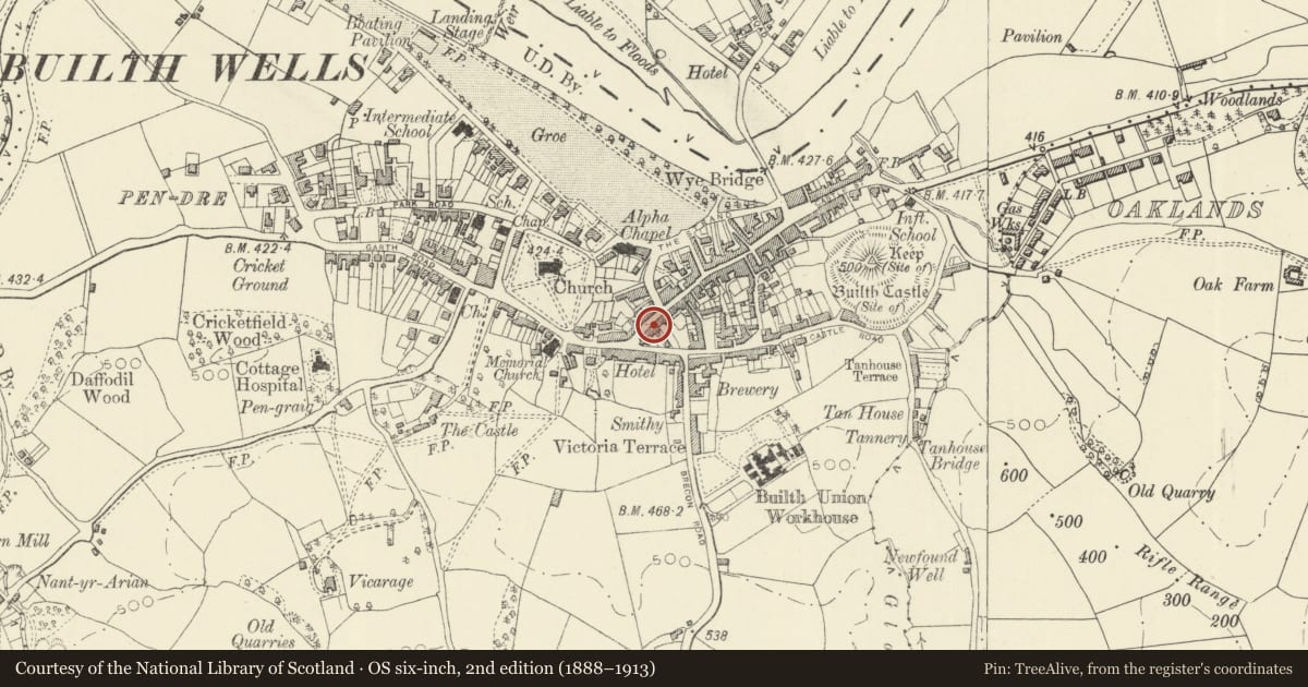 Ordnance Survey six-inch map, 2nd edition (1888–1913) covering the location of Bristol House occupied by Davies Bros. Grocers, Builth, Powys, with a pin at the register's coordinates