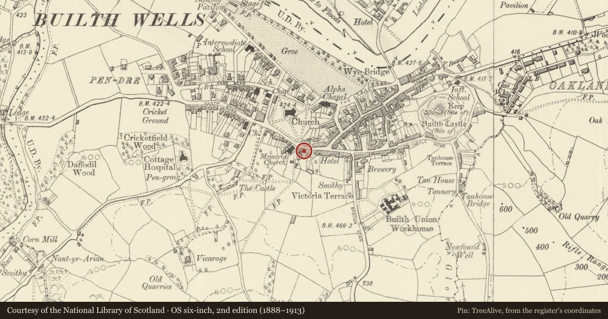 Ordnance Survey six-inch map, 2nd edition (1888–1913) covering the location of Peterwell, Builth, Powys, with a pin at the register's coordinates
