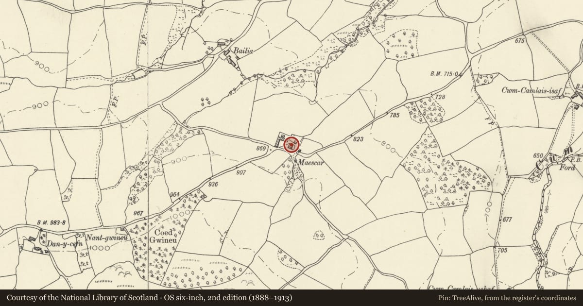 Ordnance Survey six-inch map, 2nd edition (1888–1913) covering the location of Maescar, Powys, with a pin at the register's coordinates