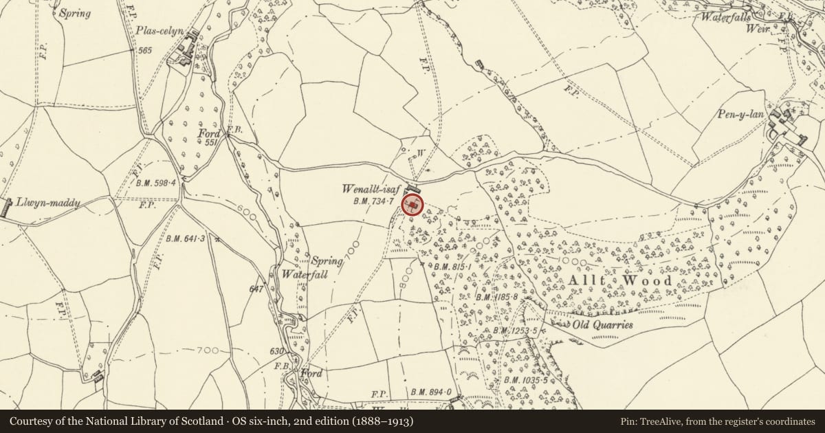 Ordnance Survey six-inch map, 2nd edition (1888–1913) covering the location of Lower Wenallt, Llanigon, Powys, with a pin at the register's coordinates