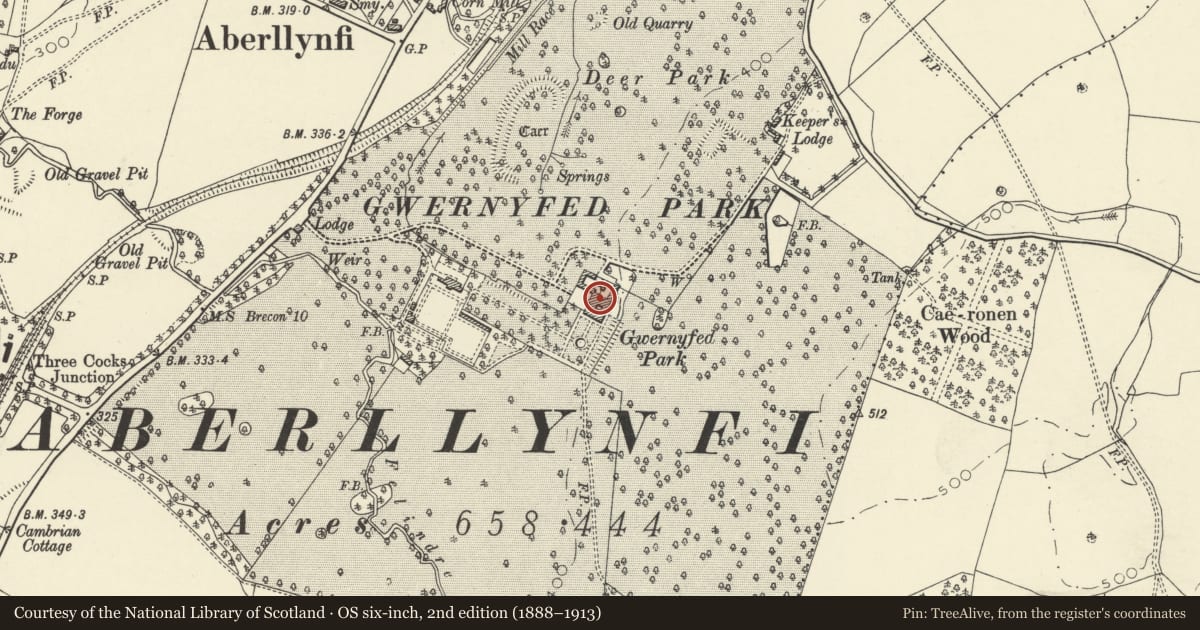 Ordnance Survey six-inch map, 2nd edition (1888–1913) covering the location of Gwernyfed High School, Powys, with a pin at the register's coordinates
