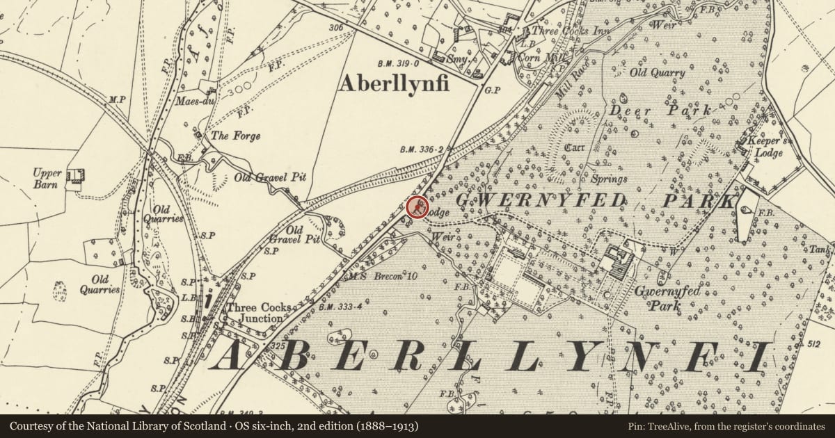 Ordnance Survey six-inch map, 2nd edition (1888–1913) covering the location of Lodge Gates and screen to Gwernyfed High School, Powys, with a pin at the register's coordinates