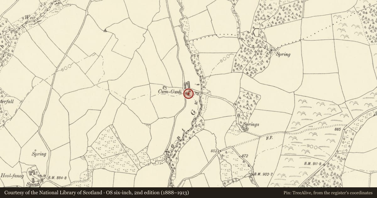 Ordnance Survey six-inch map, 2nd edition (1888–1913) covering the location of Cwm Gwdi Farmhouse, Glyn Tarell, Powys, with a pin at the register's coordinates