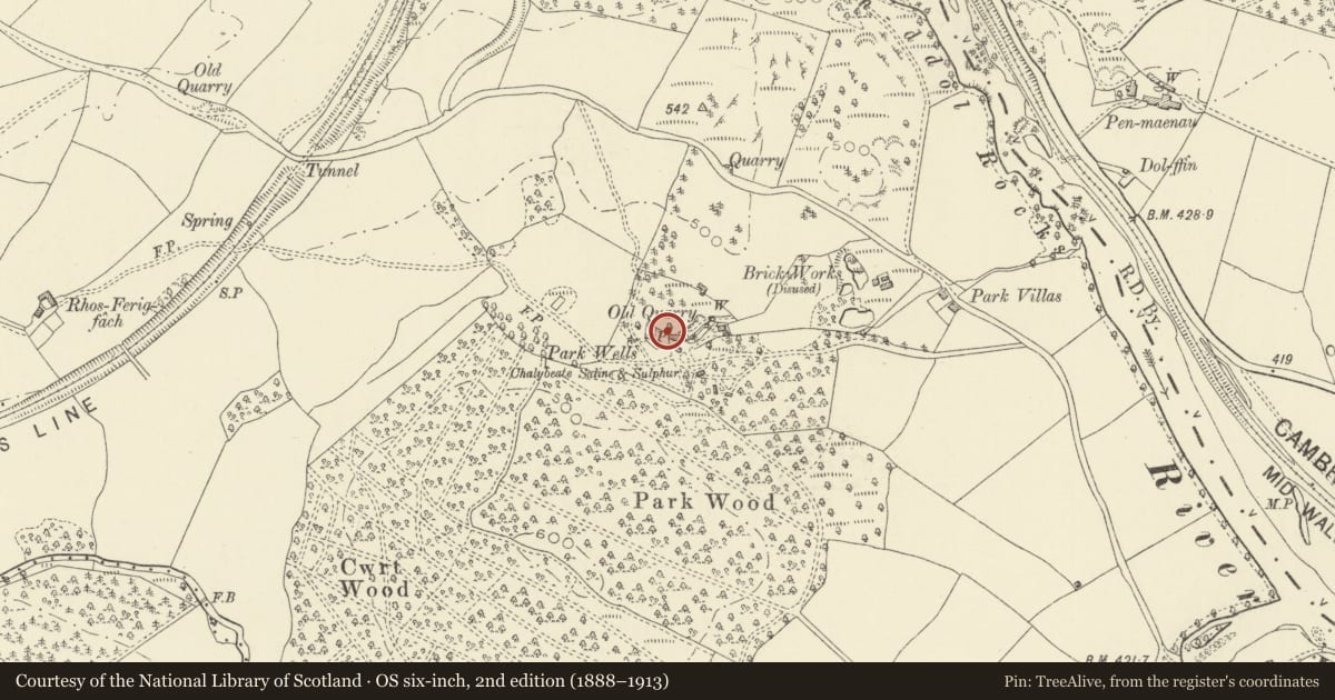 Ordnance Survey six-inch map, 2nd edition (1888–1913) covering the location of Pump Room at Park Wells, Cilmery, Powys, with a pin at the register's coordinates