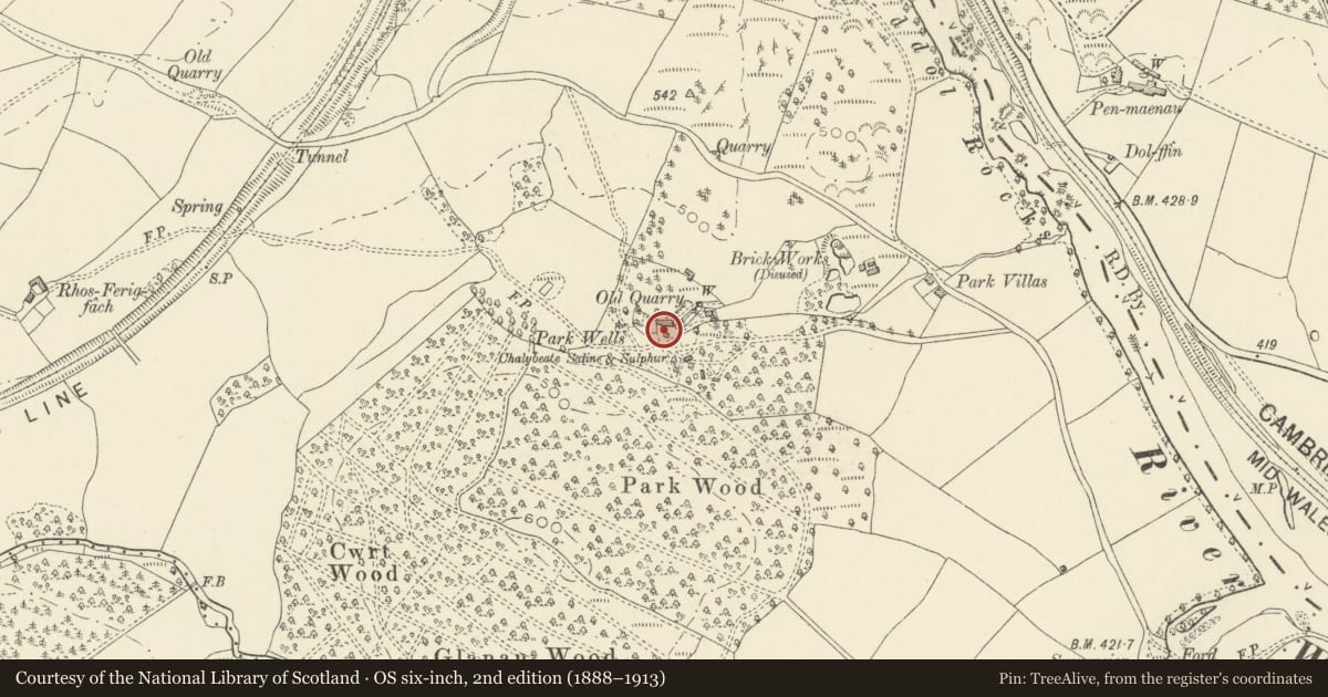 Ordnance Survey six-inch map, 2nd edition (1888–1913) covering the location of Spring House at Park Wells, Cilmery, Powys, with a pin at the register's coordinates