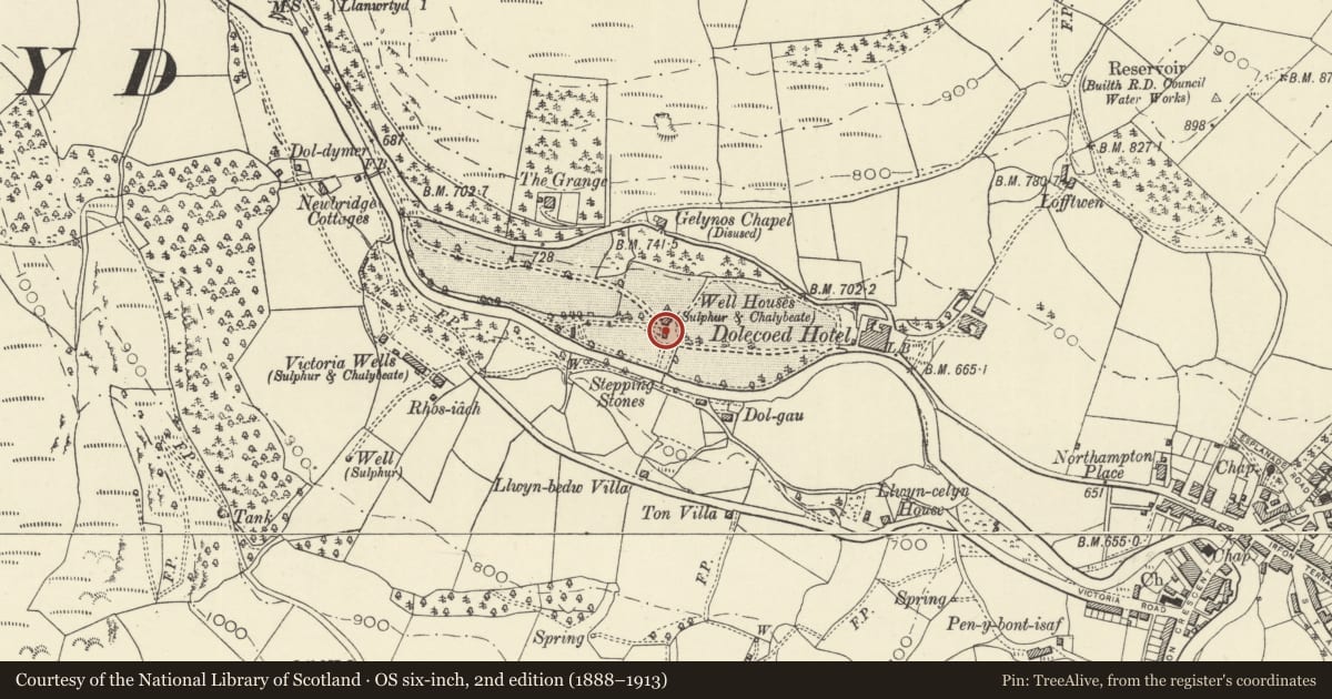 Ordnance Survey six-inch map, 2nd edition (1888–1913) covering the location of Former Dol y Coed Pump Room, Llanwrtyd Wells, Powys, with a pin at the register's coordinates