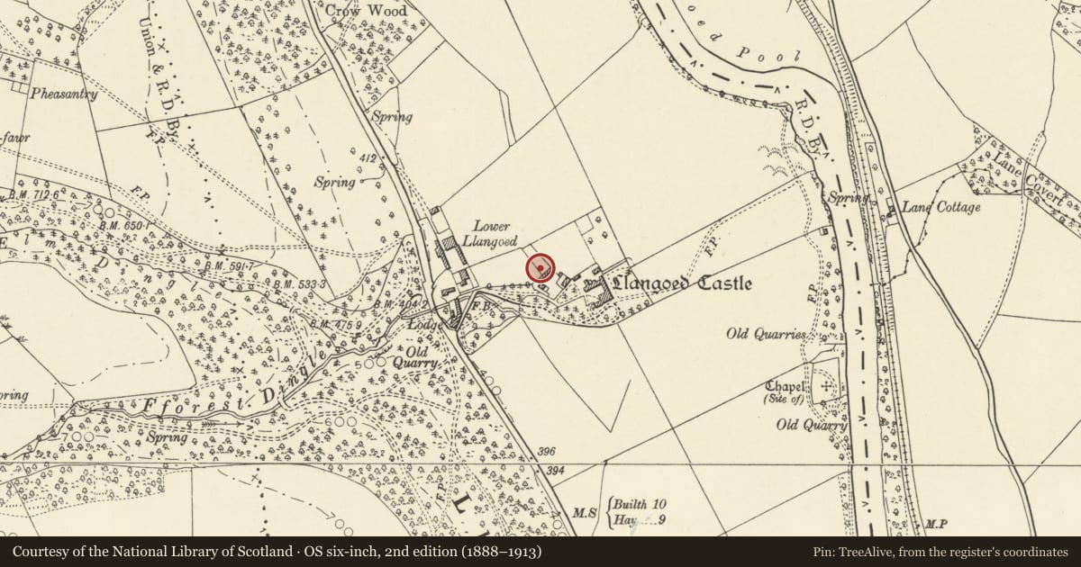 Ordnance Survey six-inch map, 2nd edition (1888–1913) covering the location of Llangoed Cottage Workshop, Bronllys, Powys, with a pin at the register's coordinates