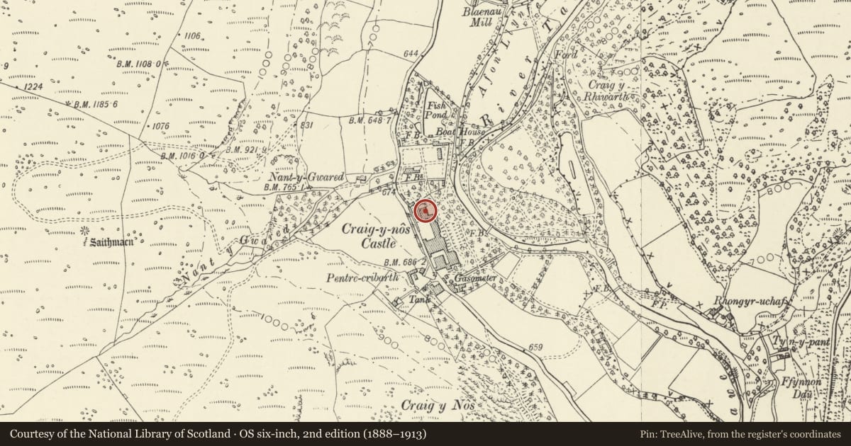 Ordnance Survey six-inch map, 2nd edition (1888–1913) covering the location of Theatre at Craig-y-nos, Tawe-Uchaf, Powys, with a pin at the register's coordinates