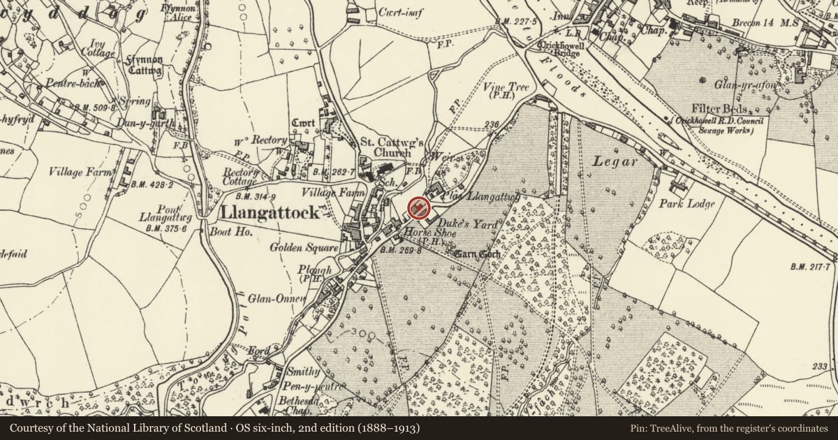 Ordnance Survey six-inch map, 2nd edition (1888–1913) covering the location of Barn at Plas Llangattwg including pigsties, Llangattock, Powys, with a pin at the register's coordinates
