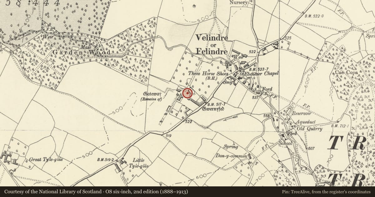 Ordnance Survey six-inch map, 2nd edition (1888–1913) covering the location of Boundary walls, gatepiers and gate to forecourt and driveway at Old Gwernyfed, Powys, with a pin at the register's coordinates