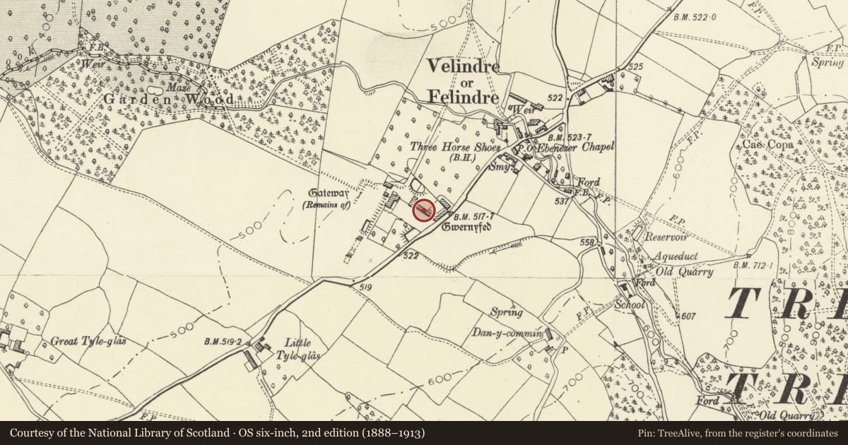 Ordnance Survey six-inch map, 2nd edition (1888–1913) covering the location of Former Barn and Cowhouse Ranges Adjoining Old Gwernyfed House, Powys, with a pin at the register's coordinates