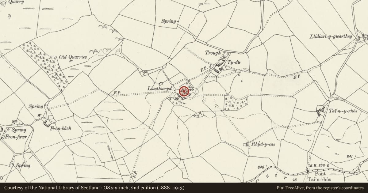 Ordnance Survey six-inch map, 2nd edition (1888–1913) covering the location of Barn in the outer yard SW of Llaethwryd, Cerrigydrudion, Conwy, with a pin at the register's coordinates