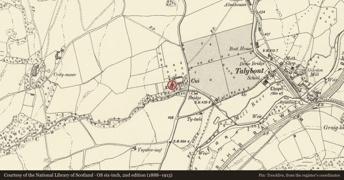 Ordnance Survey six-inch map, 2nd edition (1888–1913) covering the location of Cui Parc, Talybont-on-Usk, Powys, with a pin at the register's coordinates
