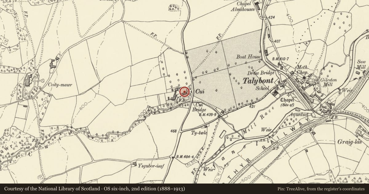Ordnance Survey six-inch map, 2nd edition (1888–1913) covering the location of Barn range at Cui Parc, Talybont-on-Usk, Powys, with a pin at the register's coordinates