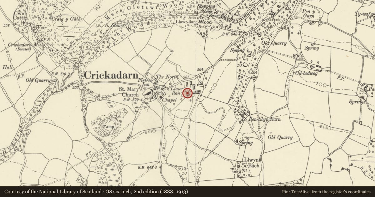 Ordnance Survey six-inch map, 2nd edition (1888–1913) covering the location of Llawr Llan Farmhouse, Erwood, Powys, with a pin at the register's coordinates