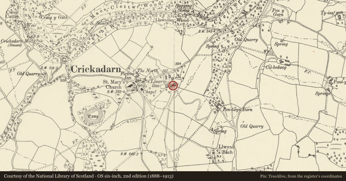Ordnance Survey six-inch map, 2nd edition (1888–1913) covering the location of Privy at Llawr Llan, Erwood, Powys, with a pin at the register's coordinates