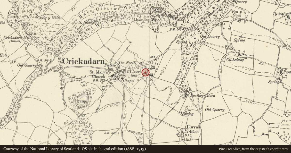 Ordnance Survey six-inch map, 2nd edition (1888–1913) covering the location of Cart-shed with granary and pig-sties at Llawr Llan, Erwood, Powys, with a pin at the register's coordinates
