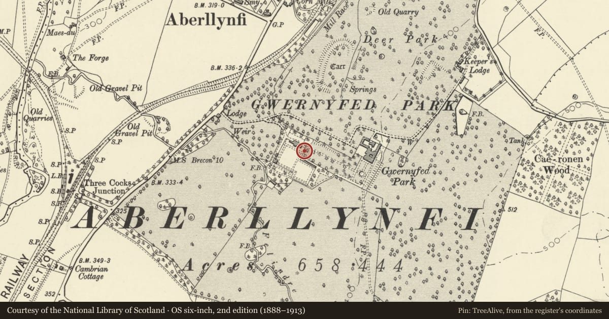 Ordnance Survey six-inch map, 2nd edition (1888–1913) covering the location of Kitchen garden walls, gatepiers and gates at Gwernyfed High School, Powys, with a pin at the register's coordinates