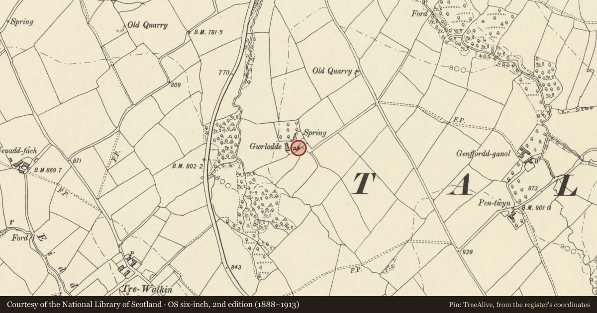 Ordnance Survey six-inch map, 2nd edition (1888–1913) covering the location of Detached Farm Building at Gwrlodde, Talgarth, Powys, with a pin at the register's coordinates