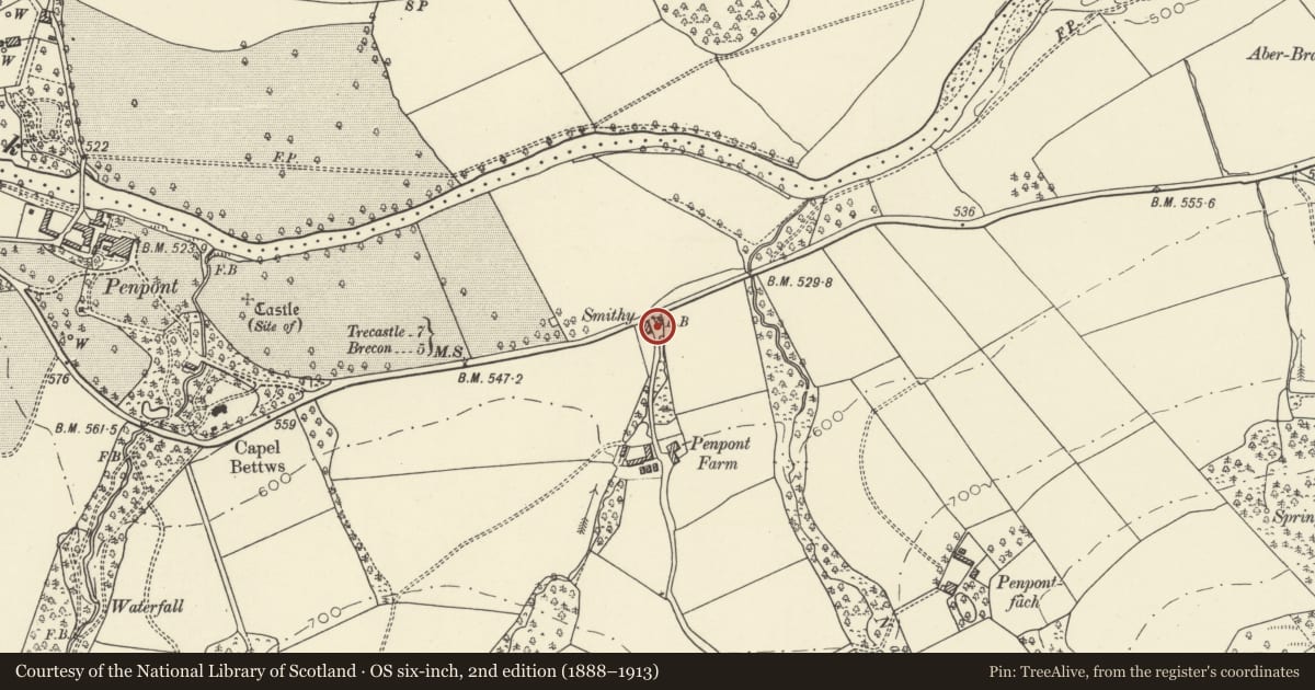 Ordnance Survey six-inch map, 2nd edition (1888–1913) covering the location of Smithy Cottage, Trallong, Powys, with a pin at the register's coordinates
